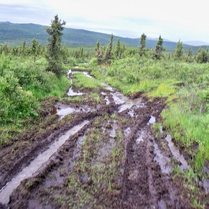 Mud Road