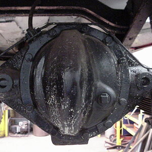 Dana 41