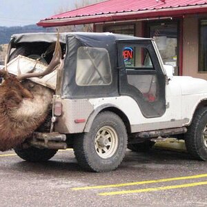 Jeep Elk