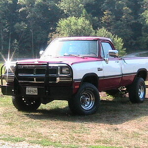 The Dodge