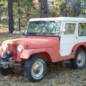 1966 Cj5 Dauntless