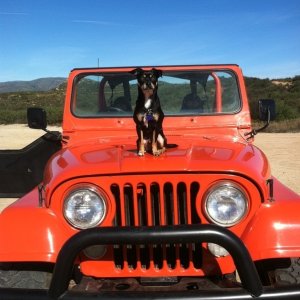 My '79 Cj7