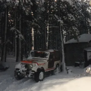 Snow Fun In The Sierras