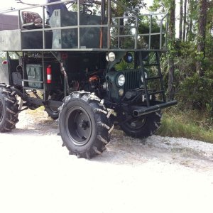 Hunting Buggy In Jw Corbett Wma, South Florida