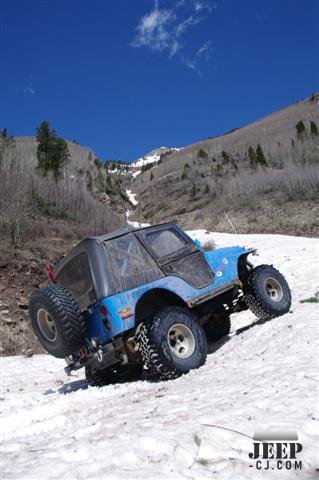 Avalanch Path In The La Plata Mts