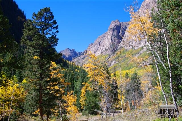 Cottonwood Creek South Of Handies Mt