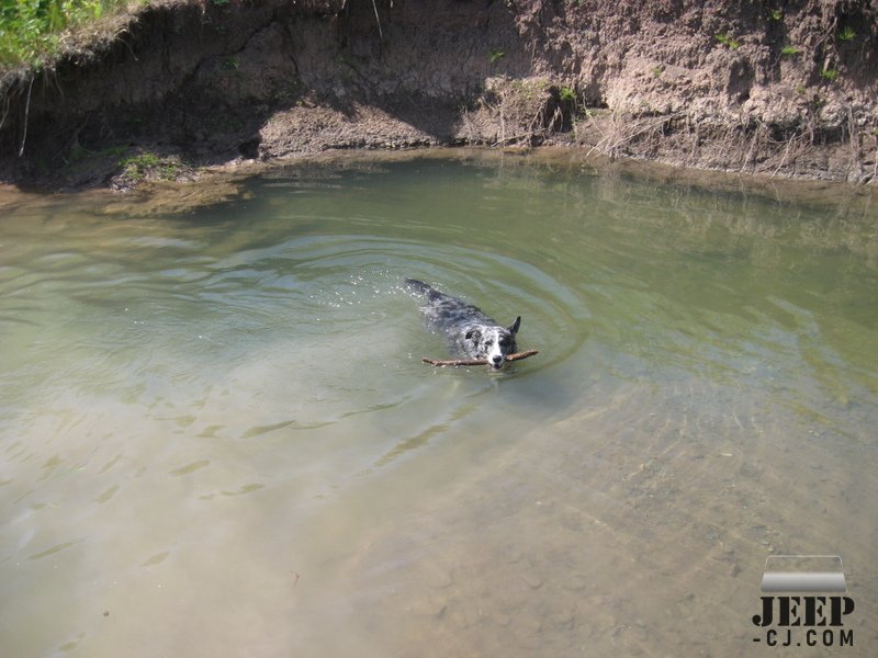 Dawg Fishin.