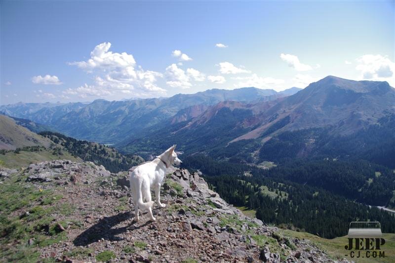 Day2-015 Koda Over Red Mountain Pass