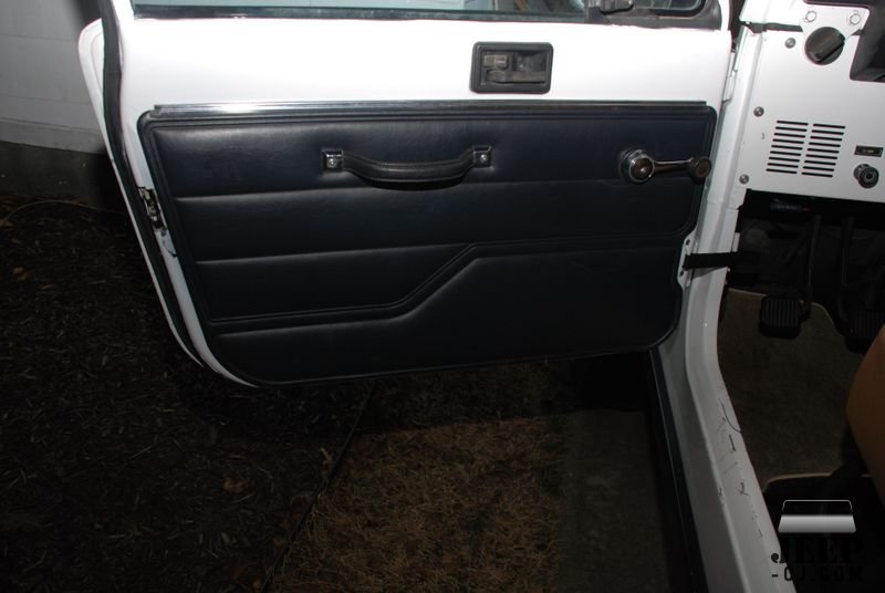 Driver Door Panel