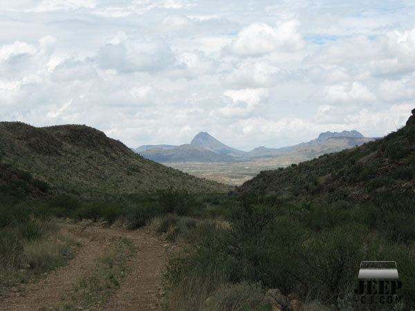 Grapevine-bbnp