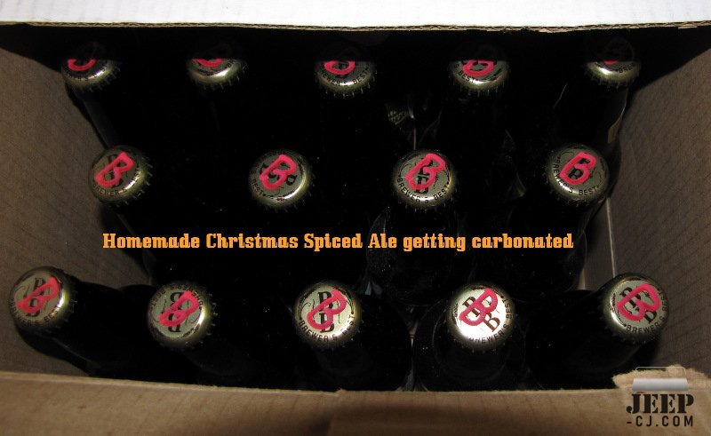 Homemade Christmas Spiced Ale 22novl09 800x600 027