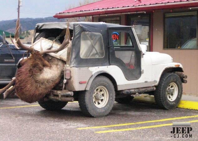 Jeep Elk