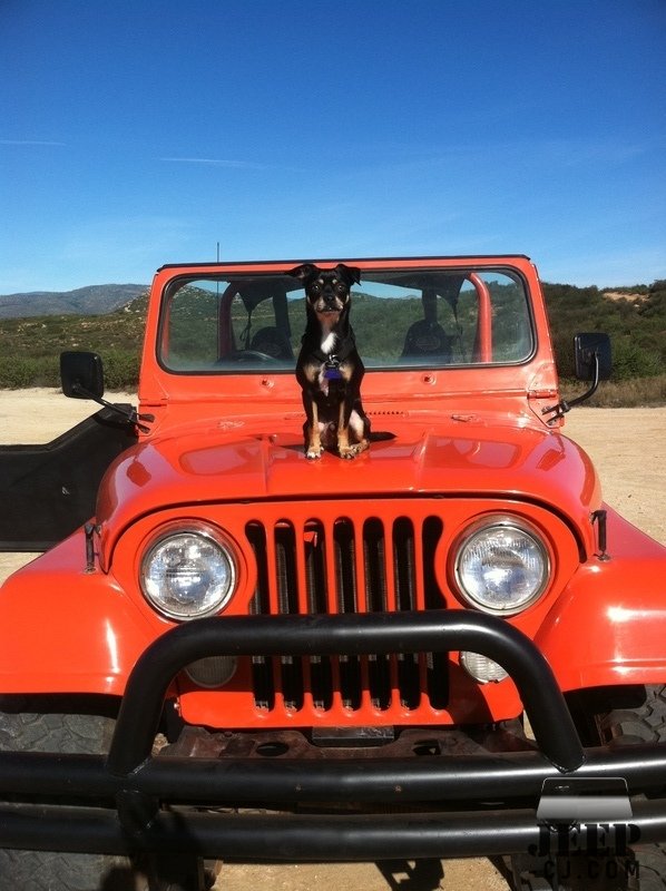 My '79 Cj7