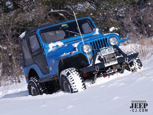 Playing In The Snow