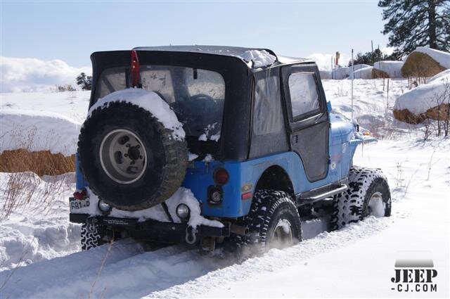 Playing In The Snow