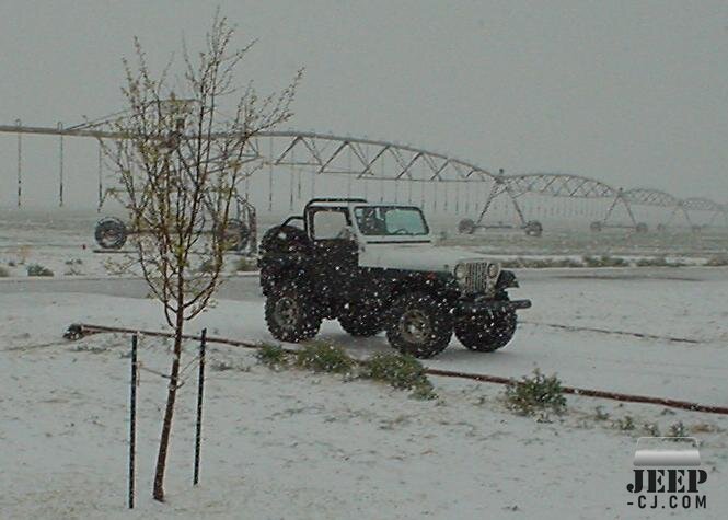 Playing Topless In the Snow!