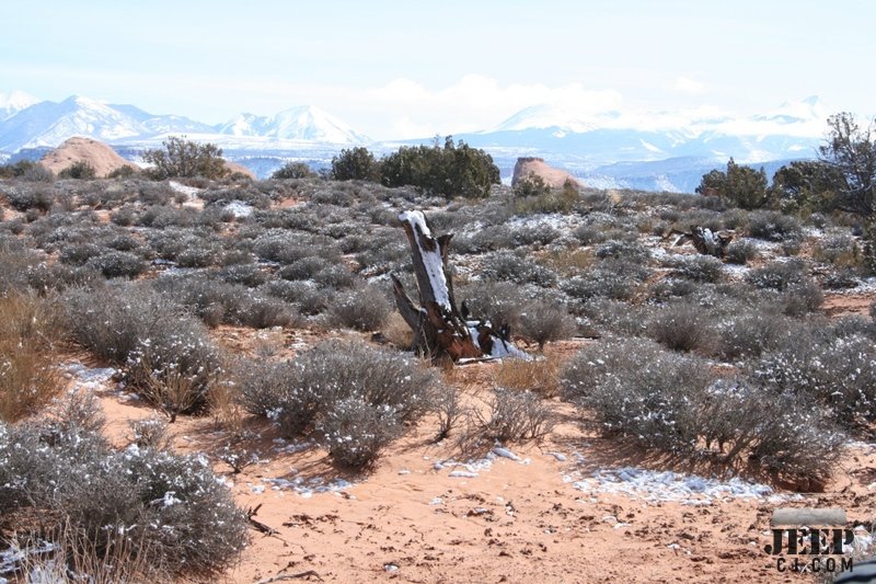 Presidents' Day In Moab