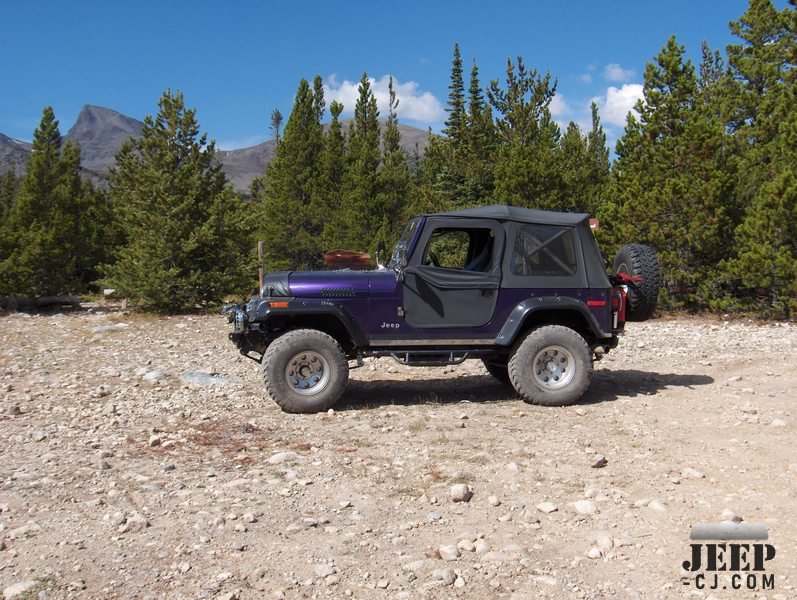 Purple Cj 7