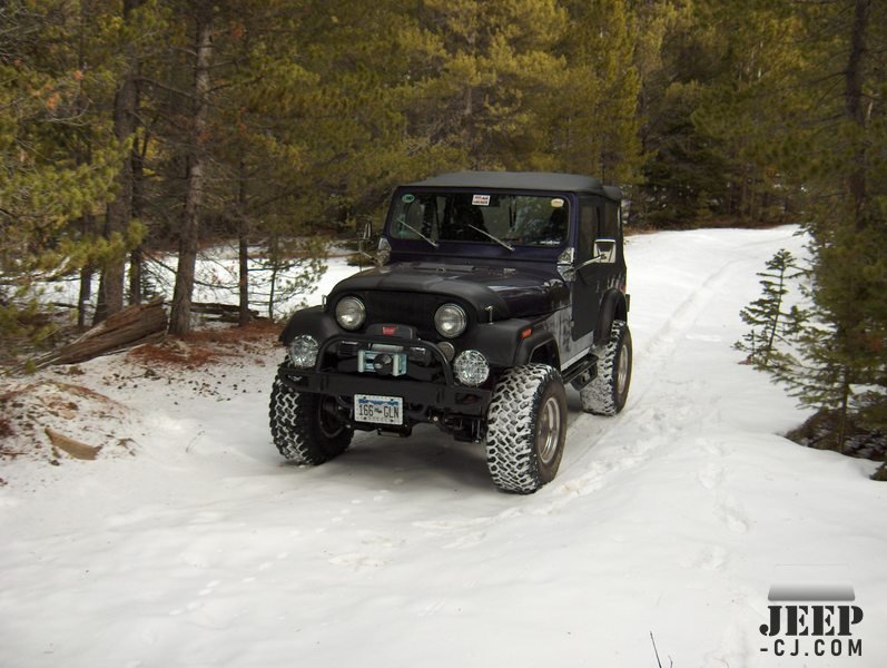 Purple Cj 7