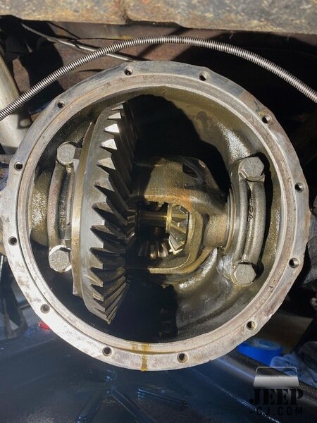 Rear Diff Amc 20, .273 Gears, 
