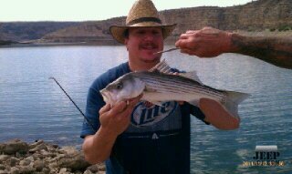 Striper